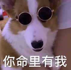 杨立昆离开 Meta 后不止创一份业:押注与大模型不同的路线,加入硅谷初创董事会