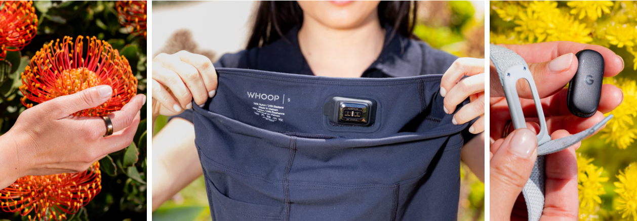 《华尔街日报》测评四款智能穿戴设备:苹果 Apple Watch Series 11 表现亮眼